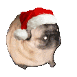 :pugnoel: