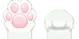 :catPaws: