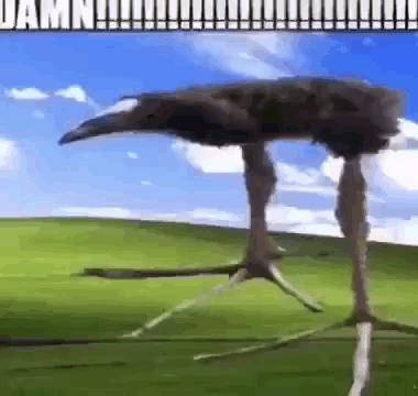 :DAMN: