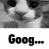 :goog: