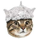 :TinHatCat: